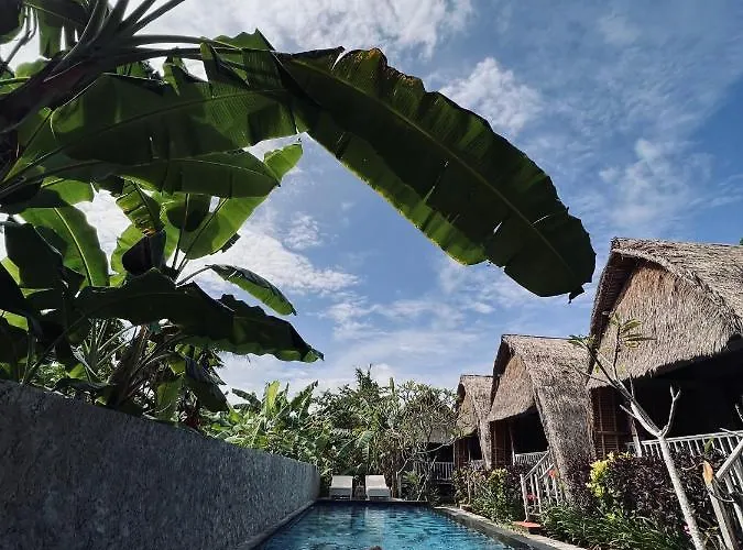 Honeybee Huts Nusa Lembongan